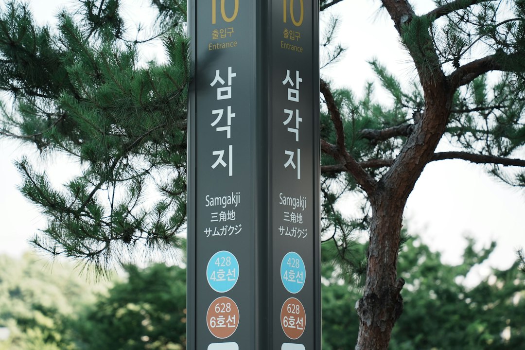 솔로여행 참고 이미지 2